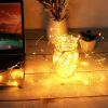 2Pcs LED String Lights 100LED Beads 32.8FT Copper Fairy Lights