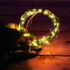 2Pcs LED String Lights 100LED Beads 32.8FT Copper Fairy Lights